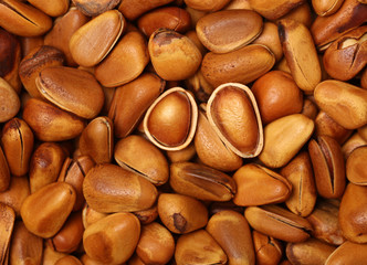 cooked pine nuts isolated on white background