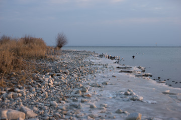 icy shore at lake constance