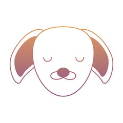 Cute animals design