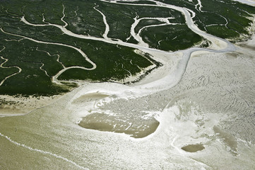 Beautiful shapes in this abstract aerial image over the Baie de la Somme at low tide