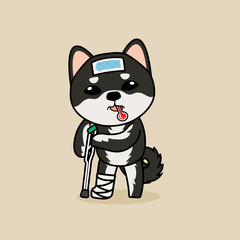 Cute cartoon character design Black Shiba Inu dog get sick and broken leg. use cooling fever patch on forehead