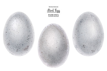 Realistic watercolor illustration, eggs