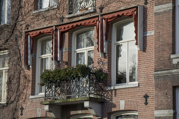 Fototapeta premium facades of typical houses in amsterdam