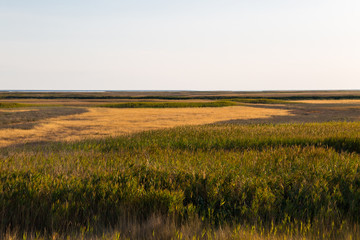 View on the Sivash lake, Ukraine