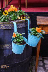 Blooming flowers in blue pots outdoors