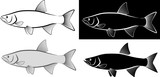 asp fish - clip art illustration and line art