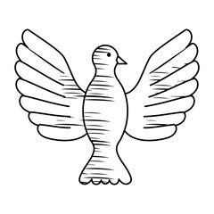 dove bird icon