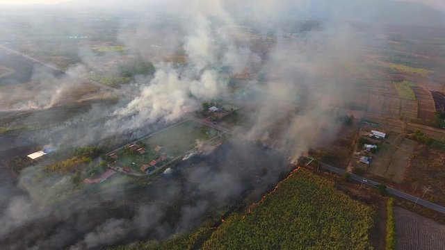 Burning fire on agricultural in thailand. Aerial view
