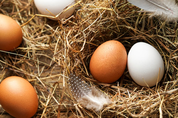 Frische braune und weiße Eier im Stroh