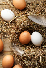 Frische braune und weiße Eier im Stroh
