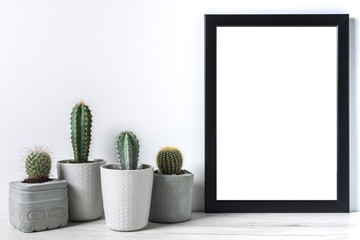 Many cactuses in concrete pots on white background and black empty picture frame