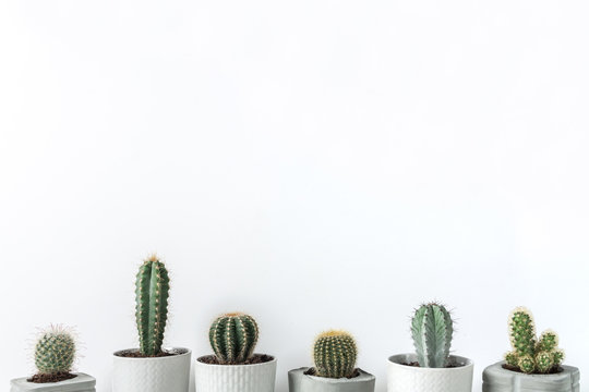 Many cactuses in concrete diy pots on a white background