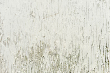 Textured background wooden surface painted with water-emulsion paint with small cracks in time. Rustic background