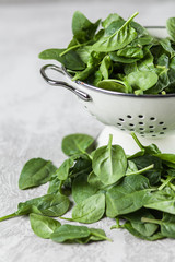 Baby spinach leaves