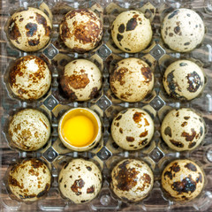 Obraz premium Quail eggs in a plastic transparent tray on a wooden background, symbol of the Easter season. Healthy eating.