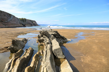 playa de zumaia país vasco U84A5349-f18