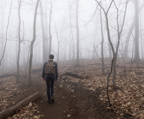 Teenager hiking through foggy forest with bare trees.