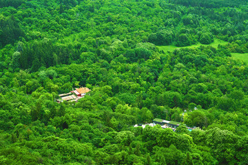The texture of the summer green forest from a bird's eye view. Beautiful view from the high point...