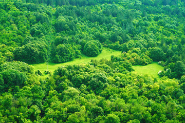 The texture of the summer green forest from a bird's eye view. Beautiful view from the high point of the mountain
- 194482697