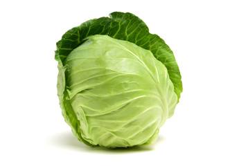 Fototapeta premium Cabbage on white background