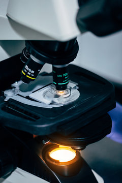 Working in a Professional Laboratory