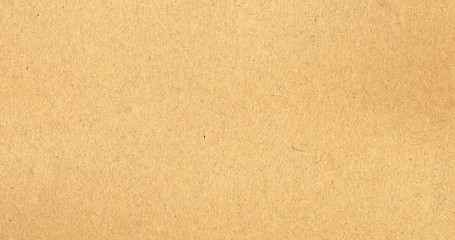 brown cardboard texture background © Claudio Divizia