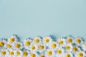 Daisies
