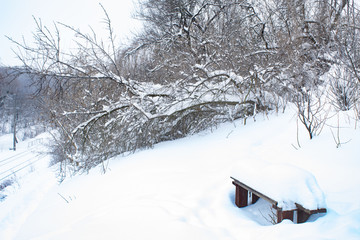 winter, snow, landscape, tree, forest, cold, nature, sky, frost, trees, white, snowy, mountain, season, blue, ice, christmas, scene, frozen, country, park, path, hill, wood, weather
