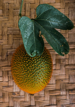 Gac fruit