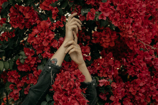 Mysterious Woman Hiding in Red Flowers
