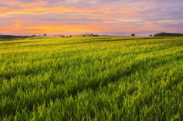 Summer landscape in Czech republic.