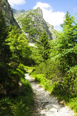 Tatra mountains in summer