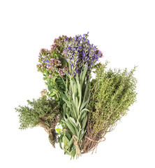 Fresh herbs isolated white background Spices food ingredients