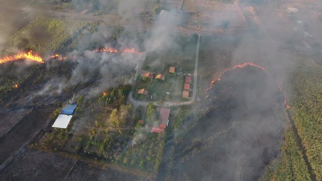 Burning fire on agricultural in thailand. Aerial view