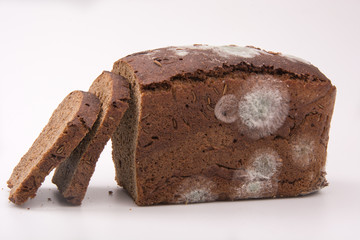 bread with mold