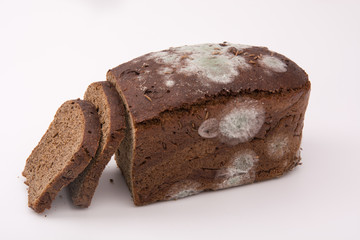 bread with mold