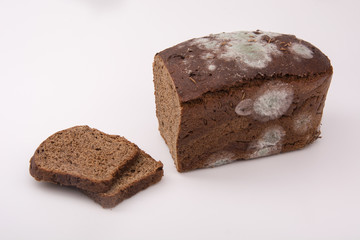 bread with mold