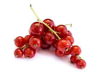 Rot Rote Johannisbeere Johannisbeeren isoliert freigestellt auf weißen Hintergrund, Freisteller