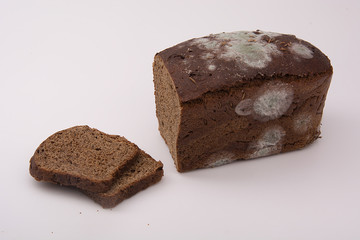 healthy bread with mold, bread with mold