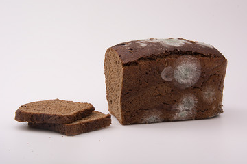 healthy bread with mold, bread with mold
