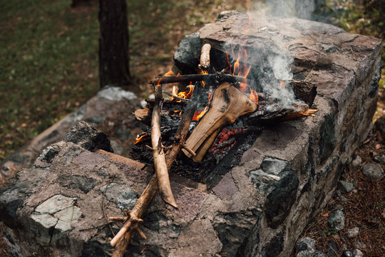 Fire in nature