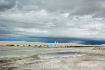 White Sands after Rain