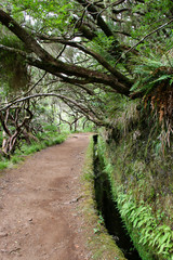 Naklejka premium Path next to a levada waterway in Madeira, Portugal