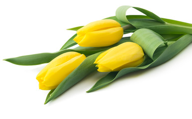 Bouquet of yellow tulips, copy space. Spring fresh flowers, mockup for mothers day, valentine or wedding greeting card