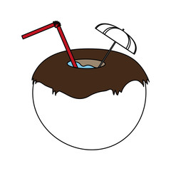 Coconut cocktail with straw vector illustration graphic design
