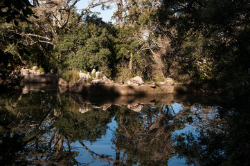 Em Sintra, uma das mais tradicionais vilas portuguesas