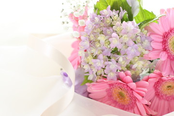 Pastel color gerbera daisy and hydrangea for early summer image