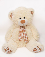 Cute toy-teddy bear on a white background.