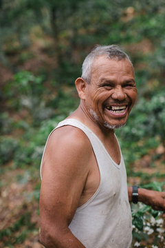 Local Farmer Working In Coffee Plantation In Nicargua