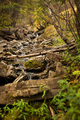 Naklejka na ściany i meble Rocky mountain creek in summer
